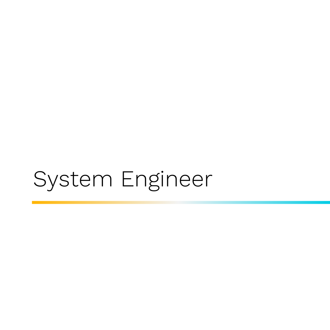 System Engineer